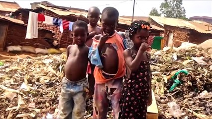 Ebola – ein gentechnischer Feldversuch des Pentagon - 2014-08-17