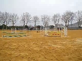 nenuphar de mai et moi