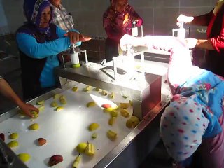 meyve iç alma ve dilimleme makınesi