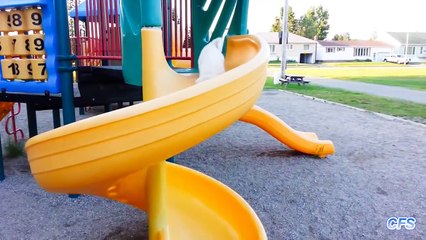 Puppy Are Awesome    Puppies on Slides