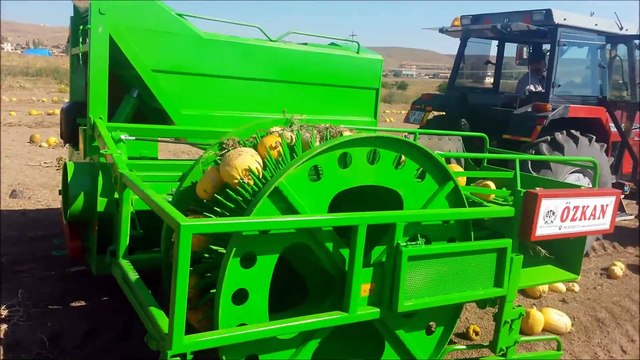 OTOMATİK KABAK ÇEKİRDEĞİ HASAT MAKİNASI
