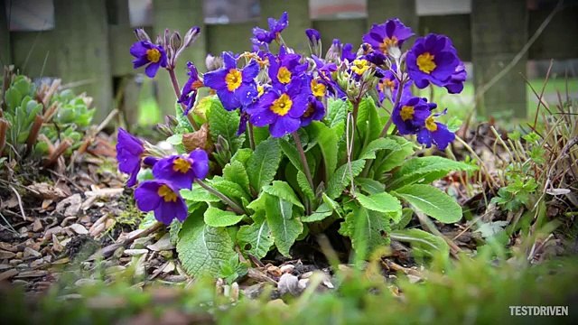 mazda cx5 vũng tàu _0938 806 792 Ms Dung