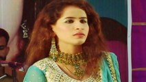 Shahnila Sahar - Dil Ja Dildar Jani