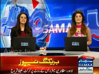 Protesters play cricket on Metro Bus route.