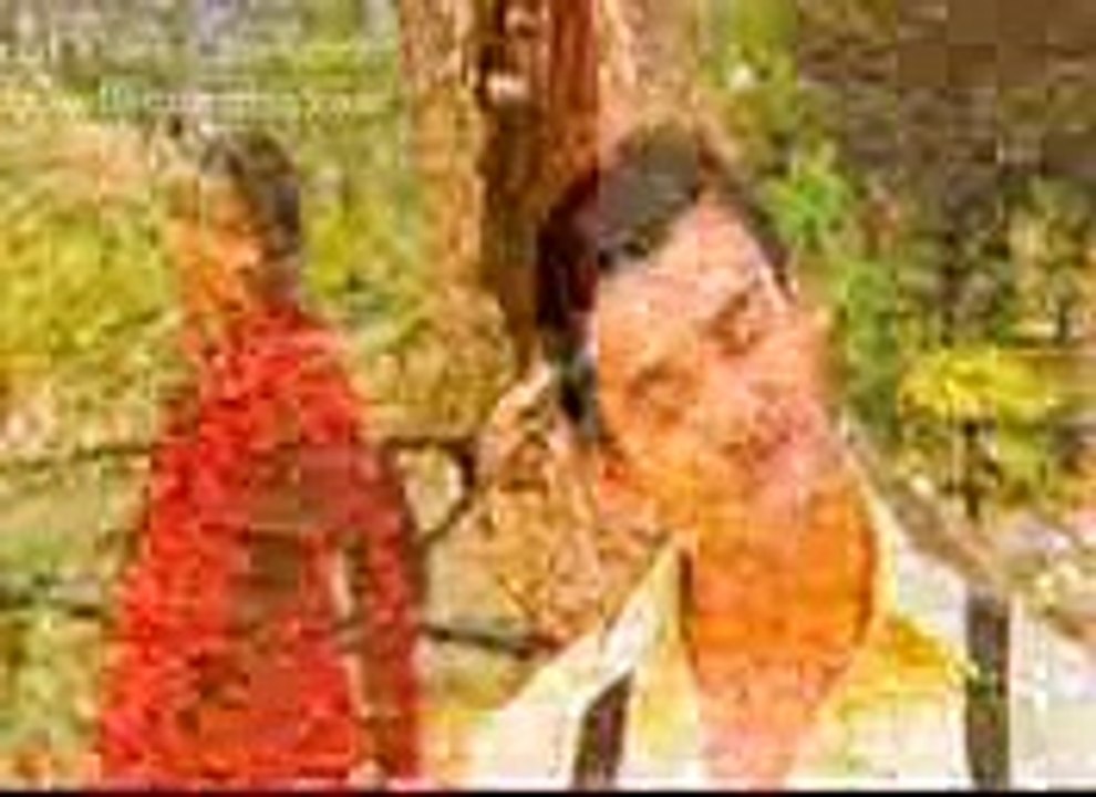 ACHA SELADEYA AR