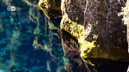 Tauchen im klarsten Gewässer der Welt | Euromaxx