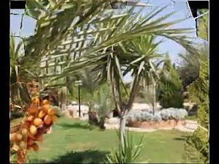 فيلا ومزرعة بالريف الاوروبى منطقة برن