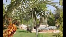 فيلا ومزرعة بالريف الاوروبى منطقة برن
