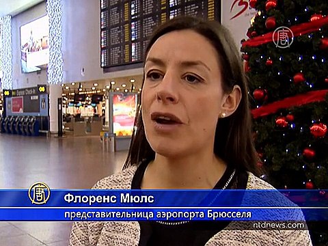 В Бельгии - общенациональная забастовка