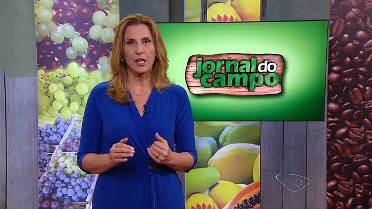 Produtoras de café no ES têm produtos selecionados entre os melhores do estado