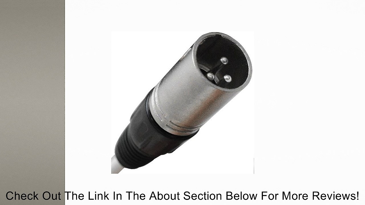 Seismic Audio - SAOR-16x8x100 - 16 Channel XLR SNAKE CABLE on a Reel with 8 Returns - 100 Feet - Stage, Studio, Church, Installs Review