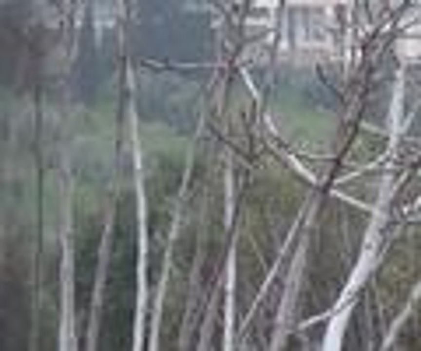 Kuşatma altındaki Halep Esed güçlerine direniyor