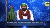 News Clip-18 Nov - Rukn-e-Shura Aur Degar Islami Bhaiyon Ka Sardarabad Pakistan Main Mashwara