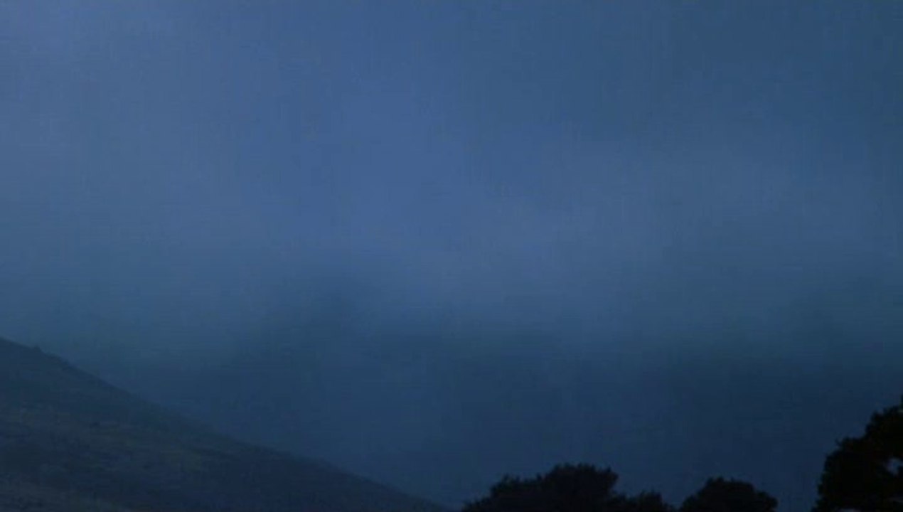 Animal Farm (1999) 1/2