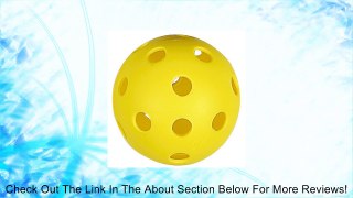 Markwort 9-Inch Plastic Balls-Box of 100 Review
