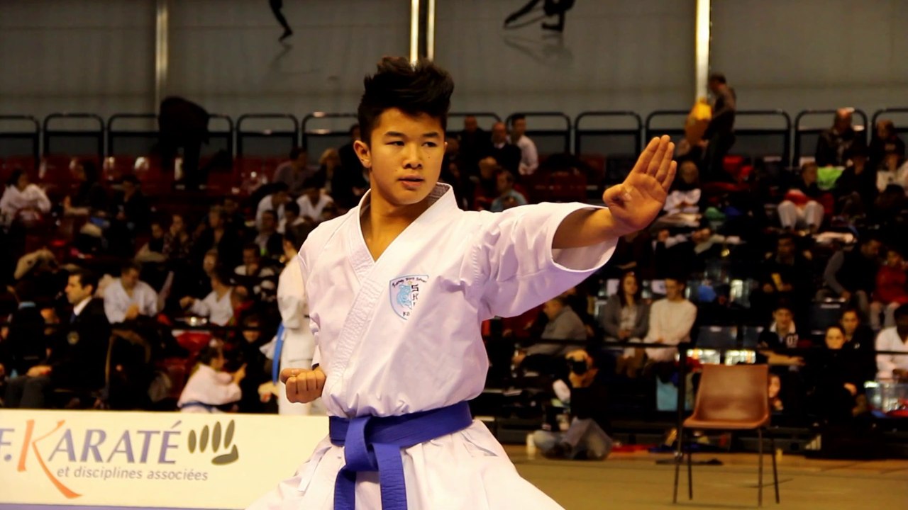 Coupe de France Karaté Kata 2014 - Paris