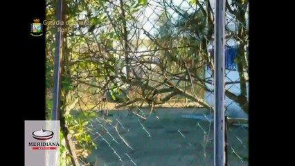 Mafia Capitale, truffata la Marina Militare tre ufficiali in manette