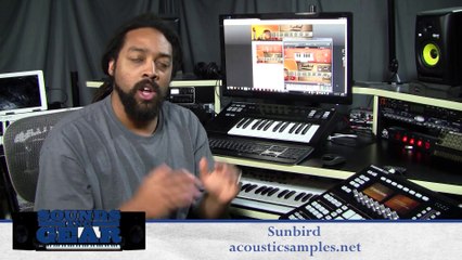 Review: Acoustic Samples Sunbird Acoustic Guitar