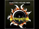 Electro House Mix  Vol. 04  - DJ PREDATORS