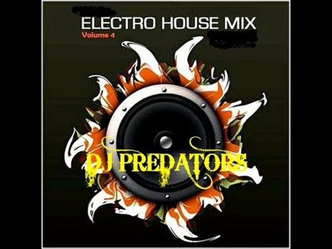 Electro House Mix Vol. 04 - DJ PREDATORS