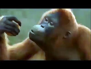 Jitna vi Imran Khan Jitna - PTI Punjabi Song