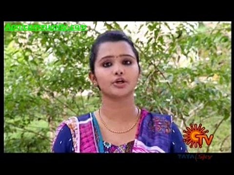 sakhti(sun tv)-15th Dec2014-pt2