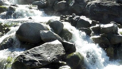 le ruisseau de mon enfance