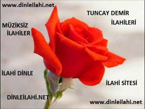 Tuncay Demir - Canım kurban olsun senin yoluna