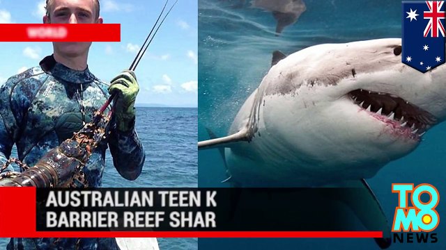 Australia shark attack - Queensland teenager Daniel Smith killed while fishing on Great Barrier Reef.