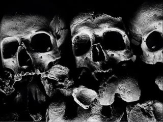 Schloss Tegal - Dreamtime