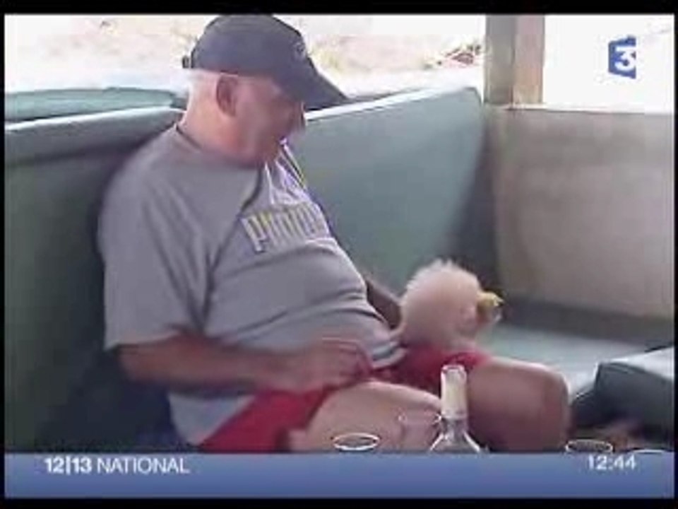 Français en Côte-d'Ivoire