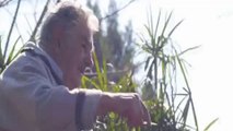 Mujica dice el turismo de marihuana es solo para uruguayos