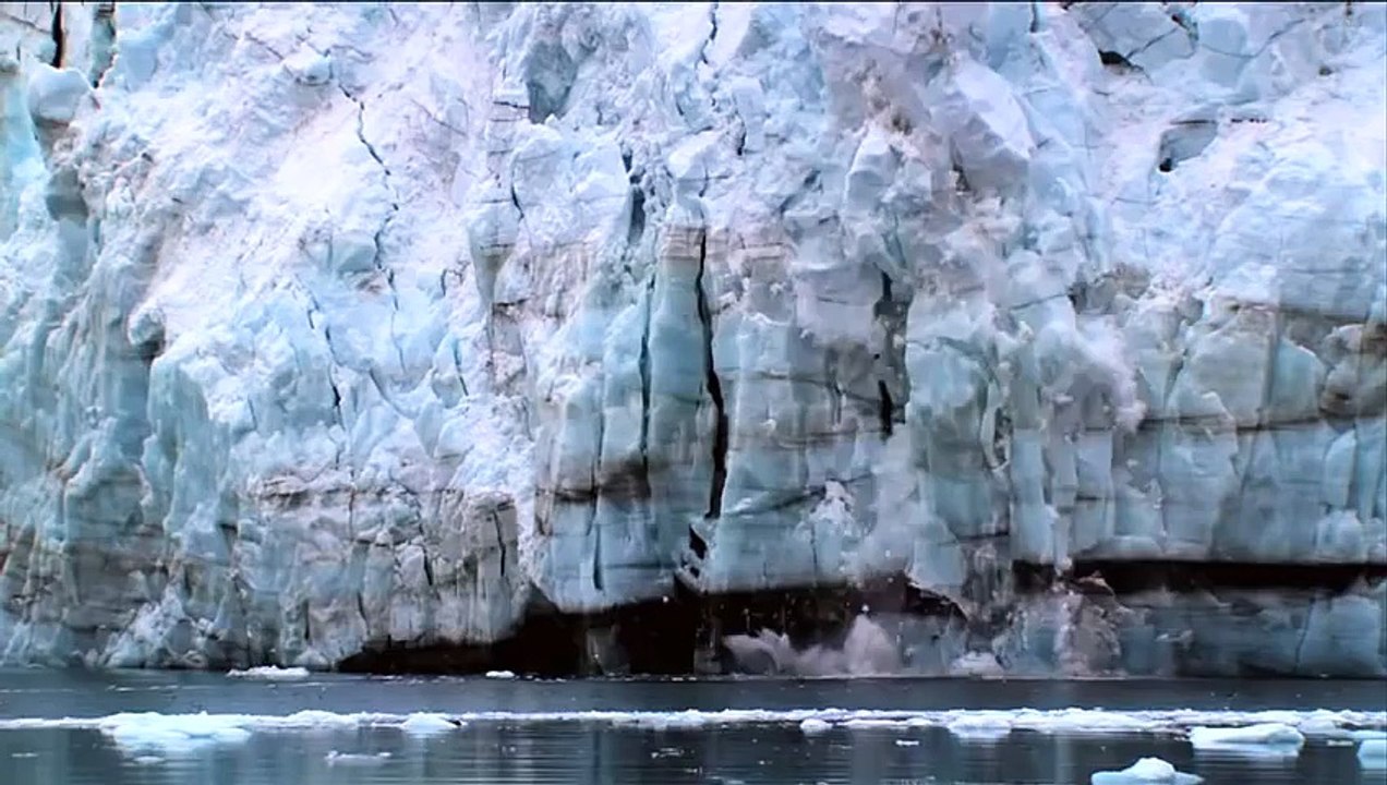 Asian Car Central - Nissan Leaf Polar Bear