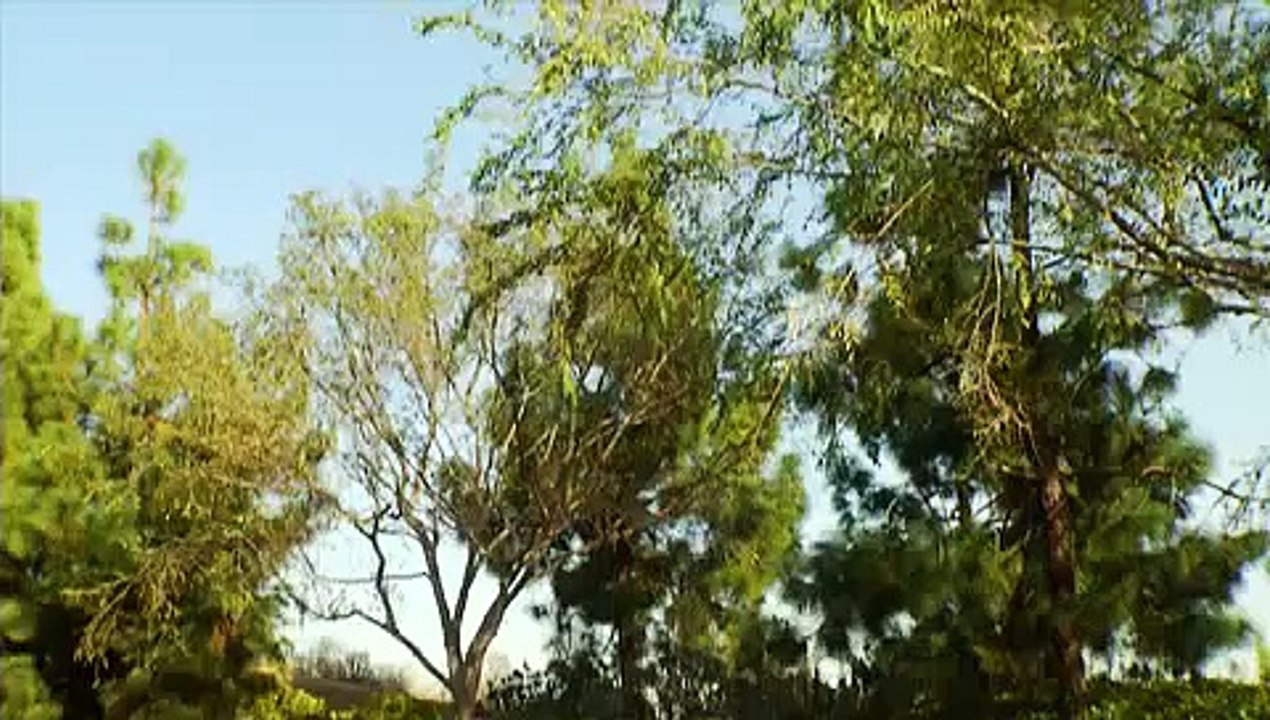 Asian Car Central - 2013 Hyundai Elantra GT