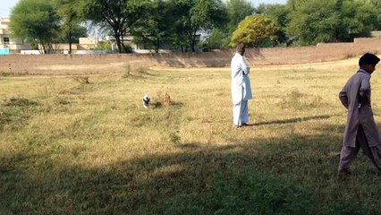 Tony terening point Titer 2014 :, 6 month boy