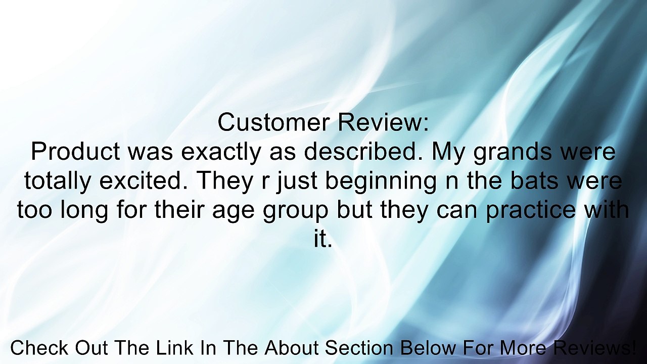 Rawlings YBREN Renegade 29/20 Little League Youth Baseball Bat Review