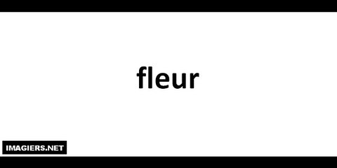 Fleur(flower) Pronunciation in French