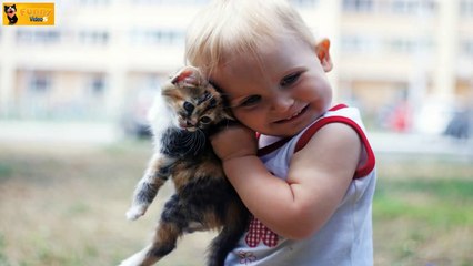 Funny Super Hero Cat 2014