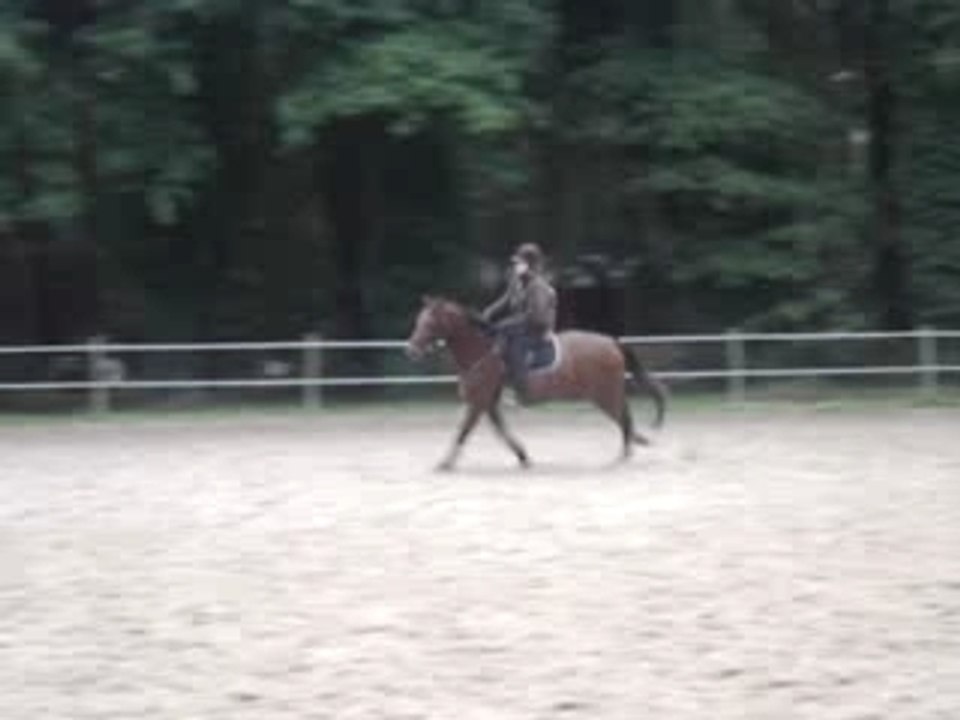 MOV02645