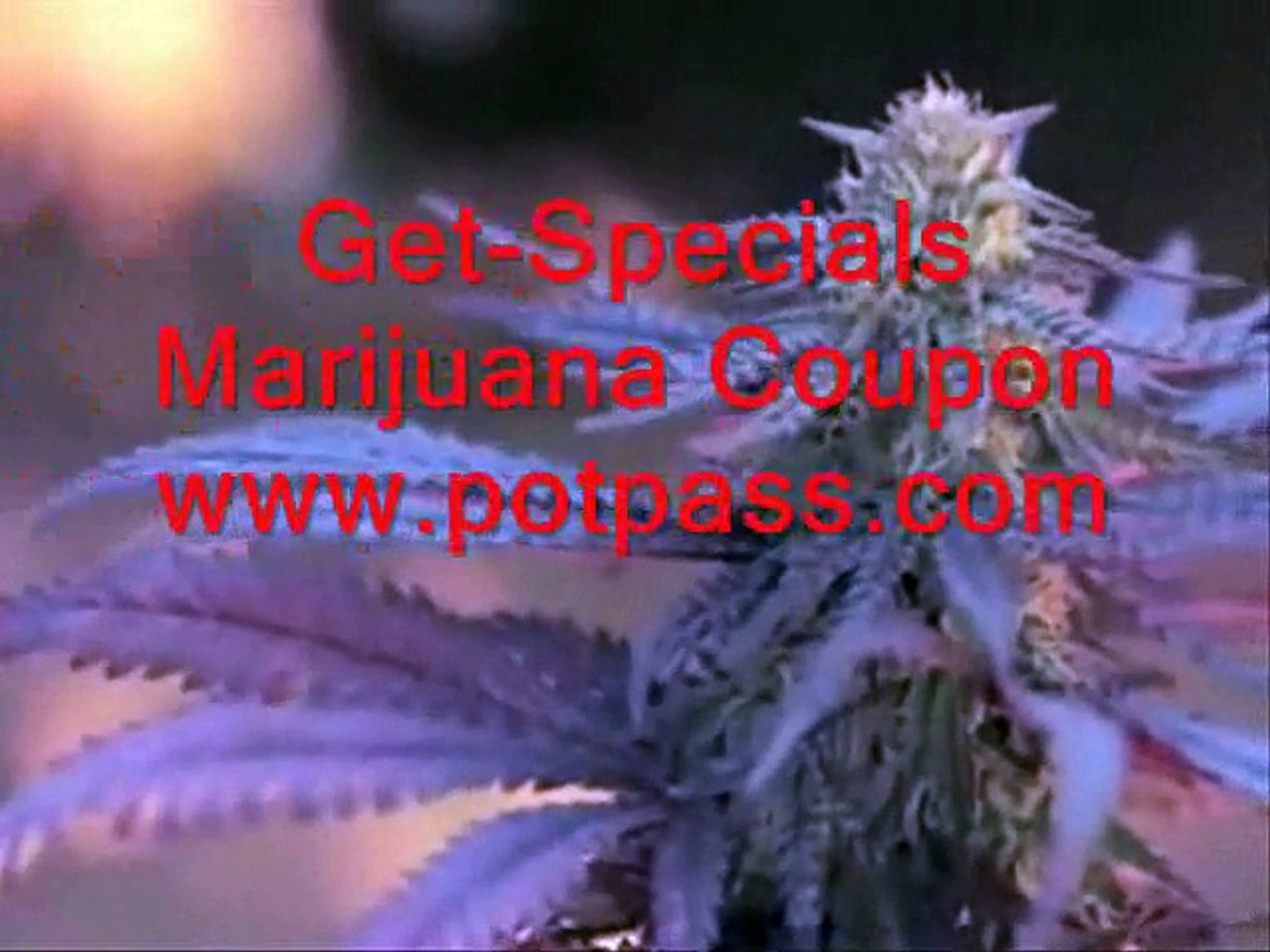 ⁣Colorado marijuana Coupon, Colorado marijuana Industry, Best marijuana of 2015