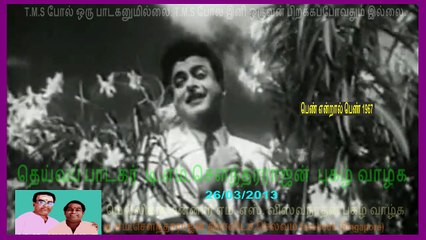 Penn Endral Penn+ (2)6263