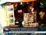 Paraguay: habrá impuesto para frutas, verduras y plantas medicinales