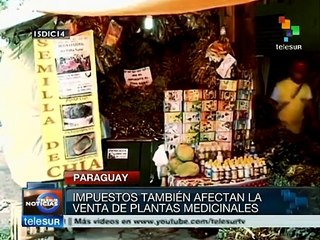 Paraguay: habrá impuesto para frutas, verduras y plantas medicinales