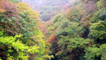 Sentimental Journe| Small Trip to countryside of Japan