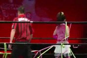 Tsukushi vs. Yuuka (Ice Ribbon)