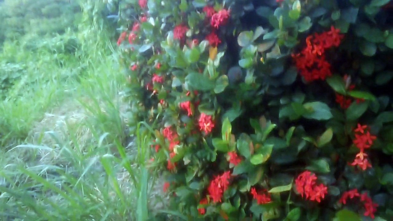 Atardecer en playa Carrizalillo