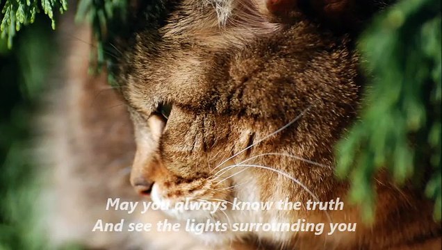 Joyeux anniversaire Marie