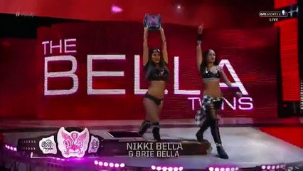 The Bella Twins Vs Natalya And Alicia Fox