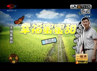 20141216 幸福生活麻辣烫 ：幸福蜜蜜甜4