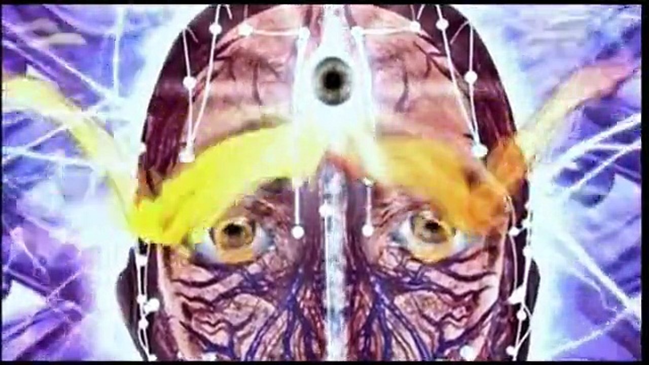 " Tripping edge " Chris  Artefact